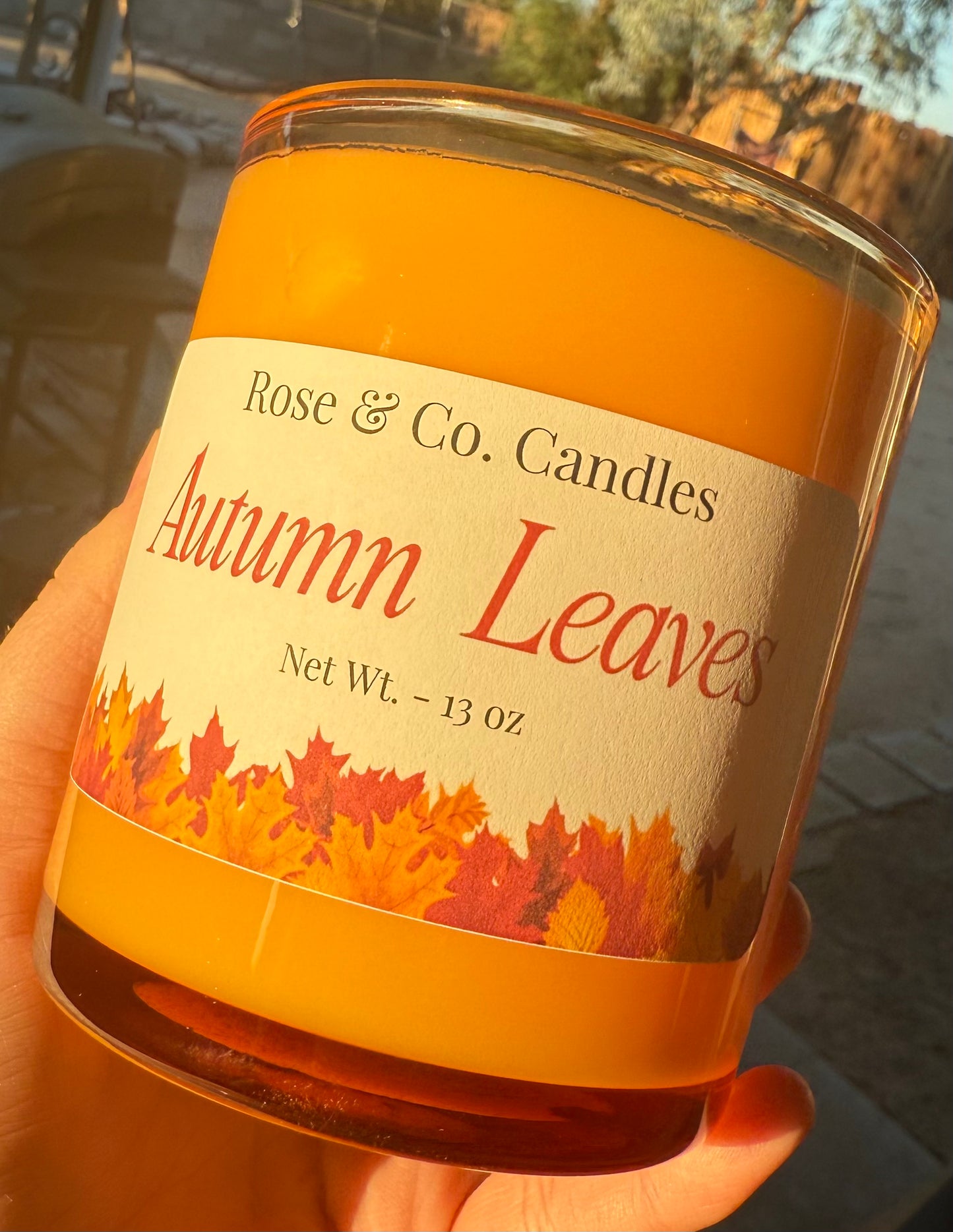 Limited Edition Fall Line